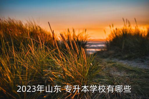 2023年山東 專升本學(xué)校有哪些