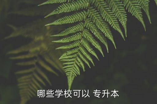 哪些學(xué)?？梢?專(zhuān)升本