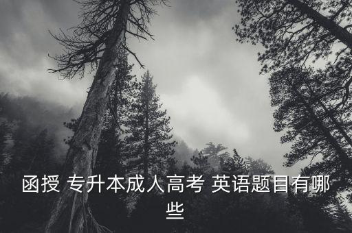 函授 專升本成人高考 英語(yǔ)題目有哪些