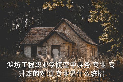 濰坊工程職業(yè)學院空中乘務 專業(yè) 專升本的對口 專業(yè)是什么統(tǒng)招