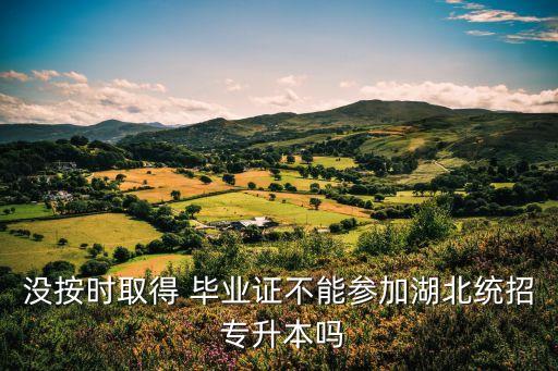 沒按時取得 畢業(yè)證不能參加湖北統(tǒng)招 專升本嗎