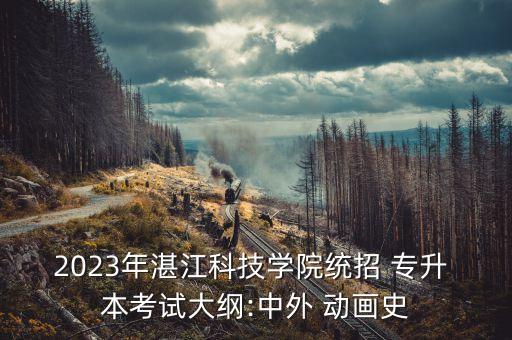 2023年湛江科技學(xué)院統(tǒng)招 專升 本考試大綱:中外 動畫史