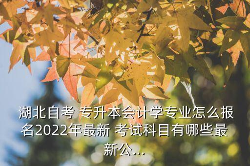  湖北自考 專升本會計學(xué)專業(yè)怎么報名2022年最新 考試科目有哪些最新公...