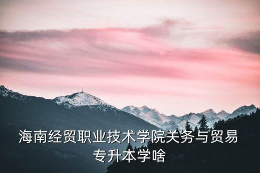  海南經(jīng)貿(mào)職業(yè)技術學院關務與貿(mào)易 專升本學啥