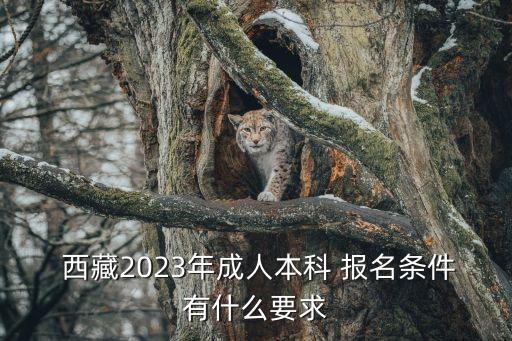  西藏2023年成人本科 報(bào)名條件有什么要求