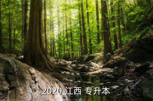 江西財(cái)大語文專升本,2021年江西財(cái)大專升本錄取分?jǐn)?shù)線