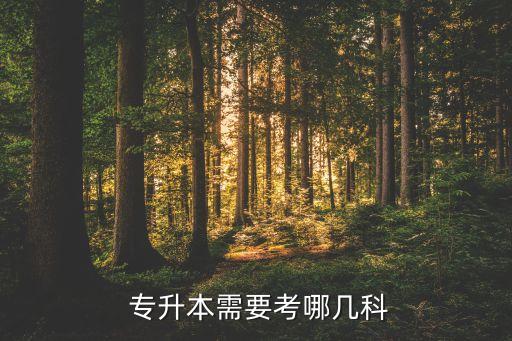 稅務(wù)專升本考什么科目,藝術(shù)生專升本需要考什么科目