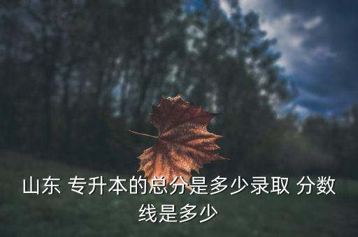 山東 專升本的總分是多少錄取 分數(shù)線是多少