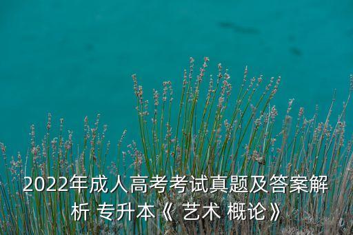 2022年成人高考考試真題及答案解析 專升本《 藝術 概論》