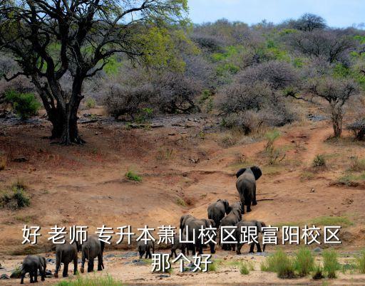 好 老師 專升本蕭山校區(qū)跟富陽校區(qū)那個好