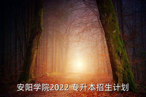 安陽學(xué)院2022 專升本招生計劃