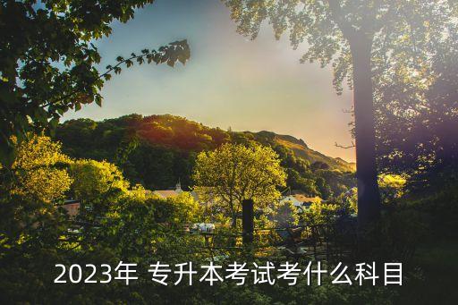 2023年 專升本考試考什么科目