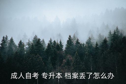 成人自考 專升本 檔案丟了怎么辦