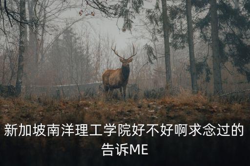 新加坡南洋理工學(xué)院好不好啊求念過的告訴ME