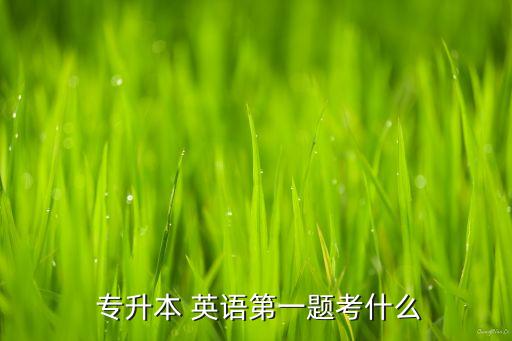  專(zhuān)升本 英語(yǔ)第一題考什么