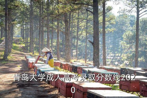  青島大學(xué)成人高考錄取分數(shù)線2020