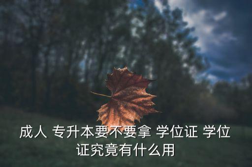 成人 專升本要不要拿 學(xué)位證 學(xué)位證究竟有什么用