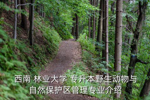  西南 林業(yè)大學 專升本野生動物與自然保護區(qū)管理專業(yè)介紹