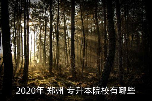 2020年 鄭州 專升本院校有哪些