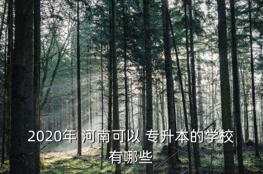 2020年 河南可以 專(zhuān)升本的學(xué)校有哪些