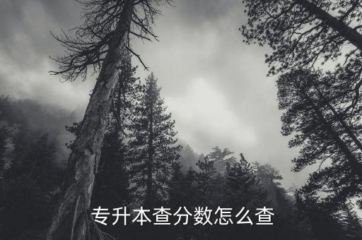  專升本查分數(shù)怎么查