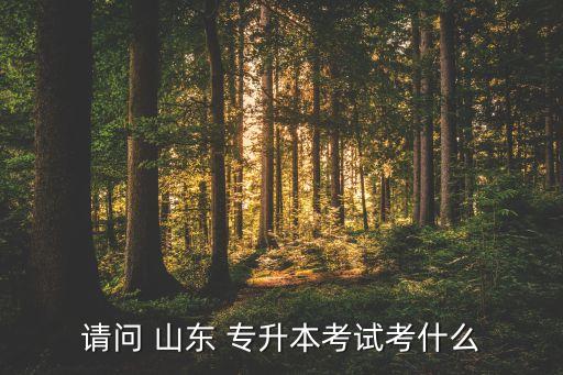 請問 山東 專升本考試考什么