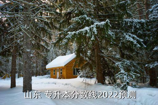  山東 專升本分數(shù)線2022預測