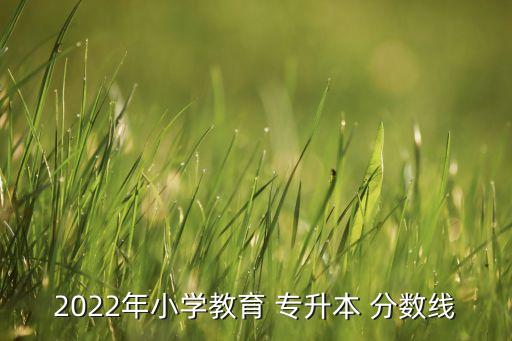 2022年小學教育 專升本 分數(shù)線