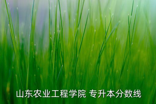  山東農(nóng)業(yè)工程學(xué)院 專升本分?jǐn)?shù)線