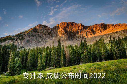  專升本 成績公布時間2022