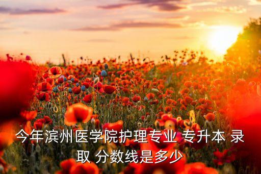 今年濱州醫(yī)學(xué)院護(hù)理專業(yè) 專升本 錄取 分?jǐn)?shù)線是多少