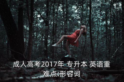 成人高考2017年 專(zhuān)升本 英語(yǔ)重難點(diǎn):形容詞