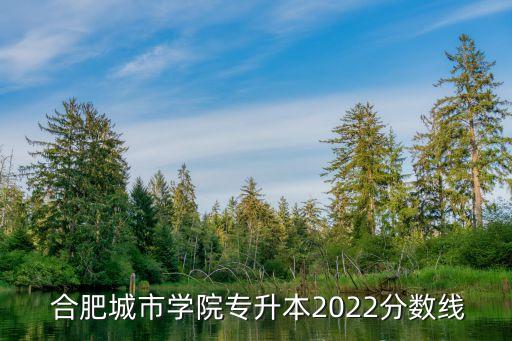  合肥城市學(xué)院專升本2022分?jǐn)?shù)線