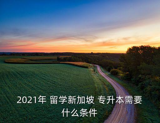 2021年 留學(xué)新加坡 專升本需要什么條件