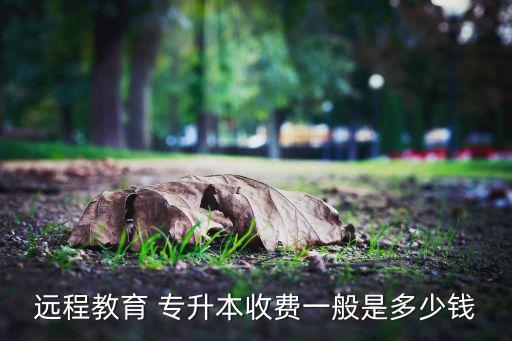 遠(yuǎn)程教育 專升本收費(fèi)一般是多少錢