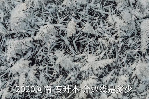 2020河南 專升本 分?jǐn)?shù)線是多少