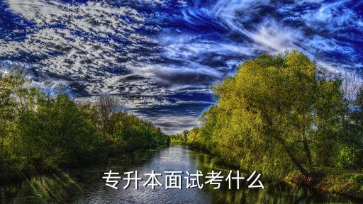  專升本面試考什么