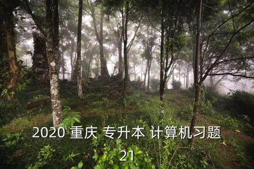 2020 重慶 專升本 計算機(jī)習(xí)題21