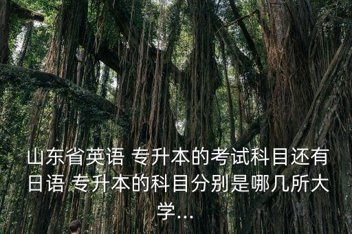  山東省英語 專升本的考試科目還有 日語 專升本的科目分別是哪幾所大學...