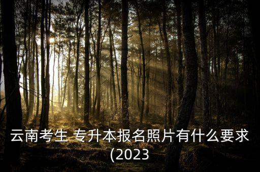 云南考生 專升本報名照片有什么要求(2023