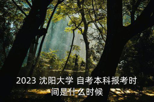 2023 沈陽大學(xué) 自考本科報考時間是什么時候