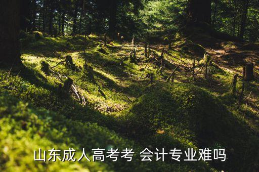 山東成人高考考 會計專業(yè)難嗎