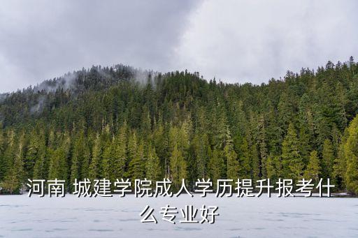  河南 城建學(xué)院成人學(xué)歷提升報考什么專業(yè)好