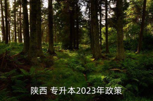 陜西 專升本2023年政策