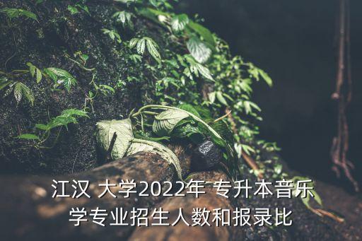  江漢 大學(xué)2022年 專升本音樂學(xué)專業(yè)招生人數(shù)和報錄比