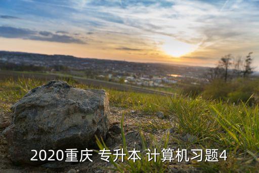 2020重慶 專升本 計(jì)算機(jī)習(xí)題4