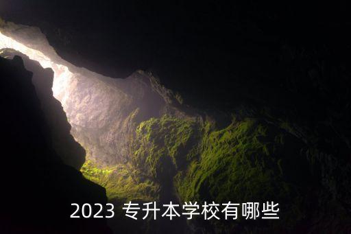 2023 專升本學校有哪些