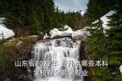  山東省2022年 專升本哪些本科學校有金融學專業(yè)