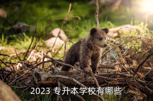 2023 專升本學(xué)校有哪些