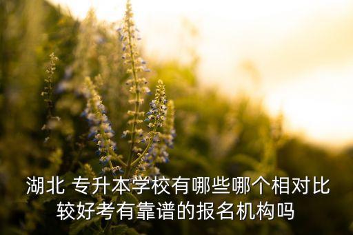  湖北 專升本學(xué)校有哪些哪個(gè)相對(duì)比較好考有靠譜的報(bào)名機(jī)構(gòu)嗎